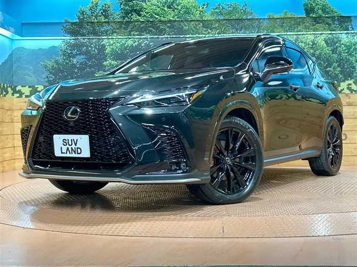 Lexus NX 2023 — фото 1, купить с доставкой в Москву