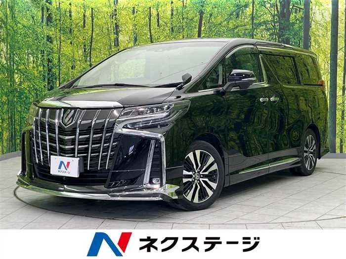 Toyota Alphard 2022 — миниатюра 4