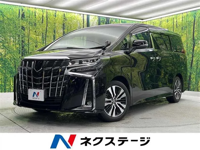 Toyota Alphard 2022 — миниатюра 4