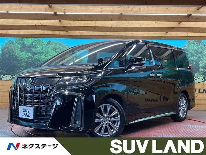 Toyota Alphard 2023 — миниатюра 4
