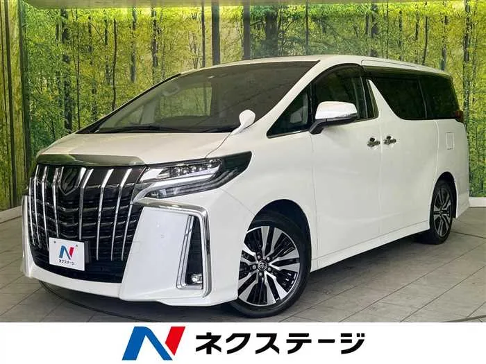Toyota Alphard 2023 — миниатюра 4