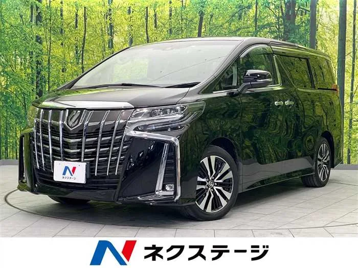 Toyota Alphard 2023 — миниатюра 4