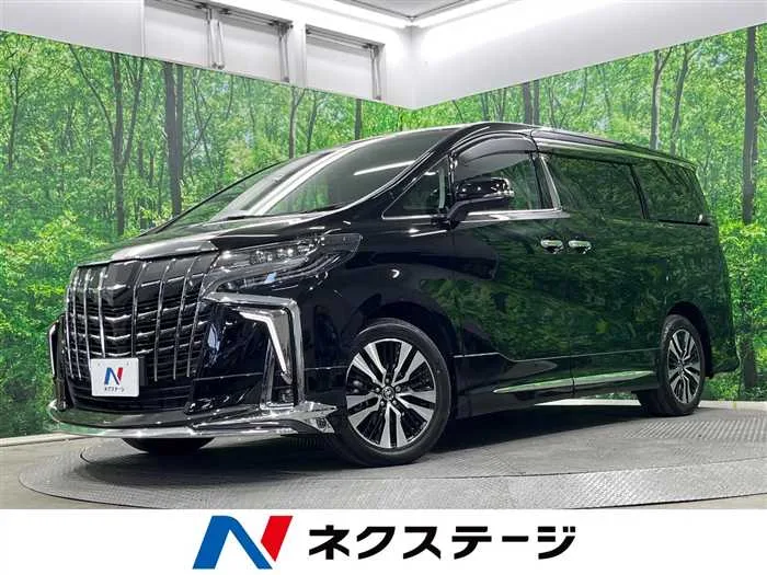 Toyota Alphard 2022 — миниатюра 4