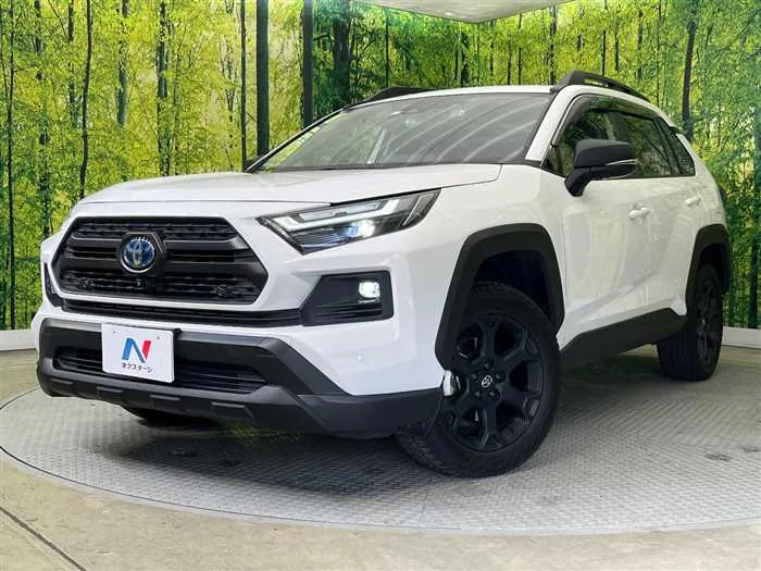 Toyota RAV4 2023 — фото 1, купить с доставкой в Москву