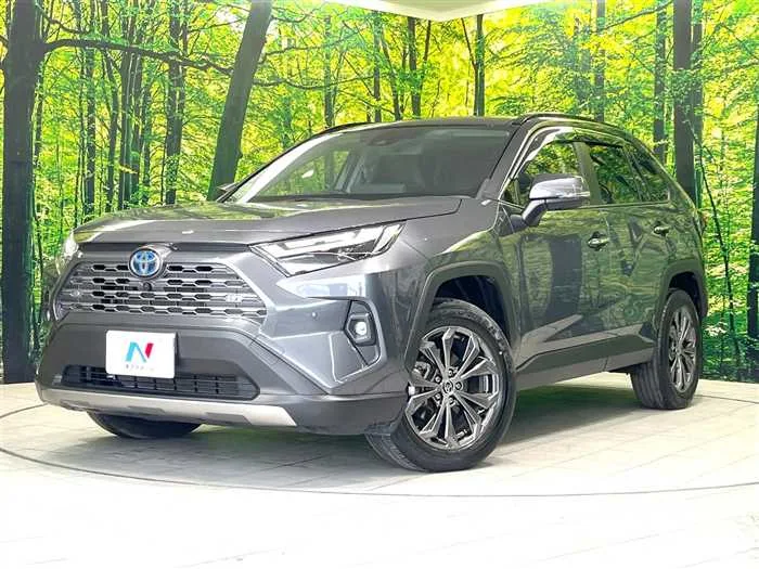 Toyota RAV4 2024 — фото 1, купить с доставкой в Москву
