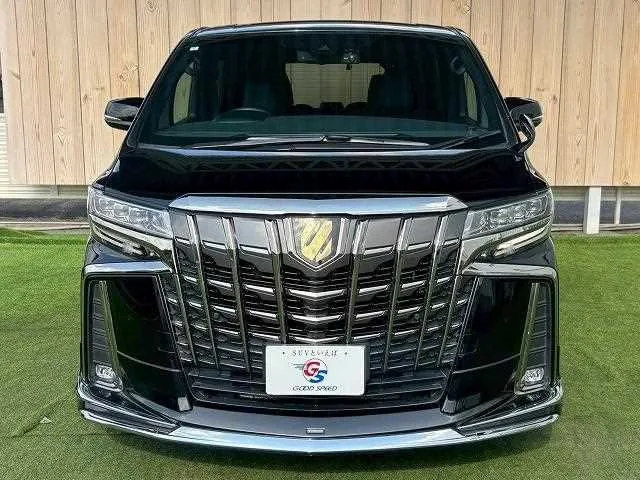Toyota Alphard G STYPE GOLD 2022 — миниатюра 4