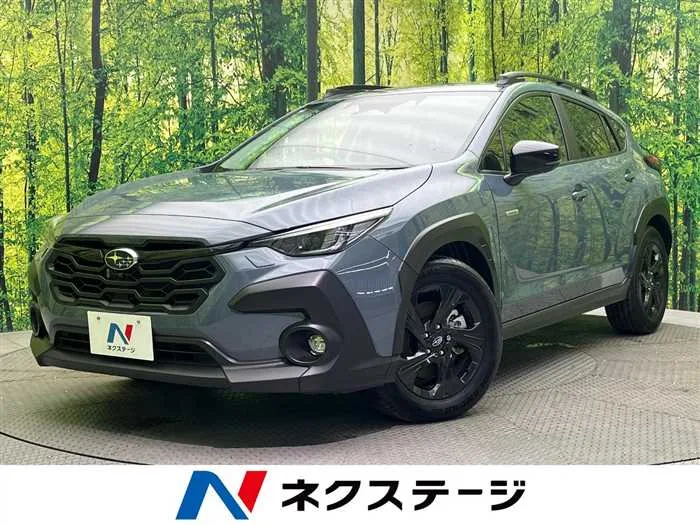 Subaru Subaru Others 2024 — миниатюра 4