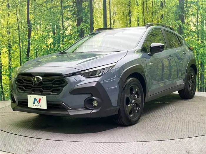 Subaru Subaru Others 2024 — миниатюра 5
