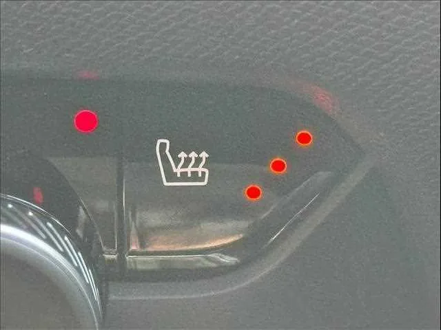 Citroen C4 Edition noire BlueHDi 2024 — миниатюра 5