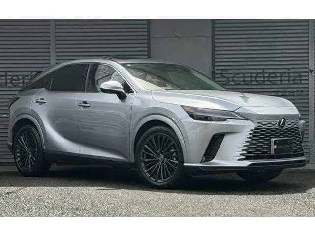 Lexus RX 2023 — фото 1, купить с доставкой в Москву