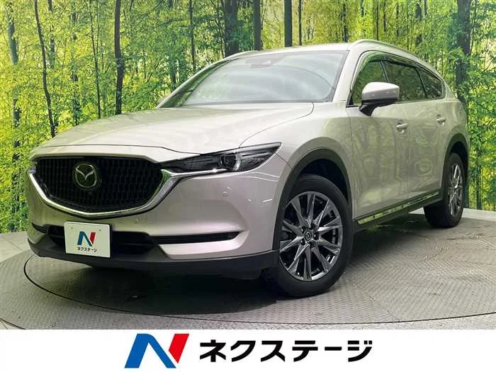 Mazda CX-8 2022 — миниатюра 4