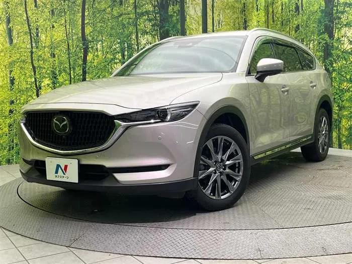 Mazda CX-8 2022 — фото 1, купить с доставкой в Москву
