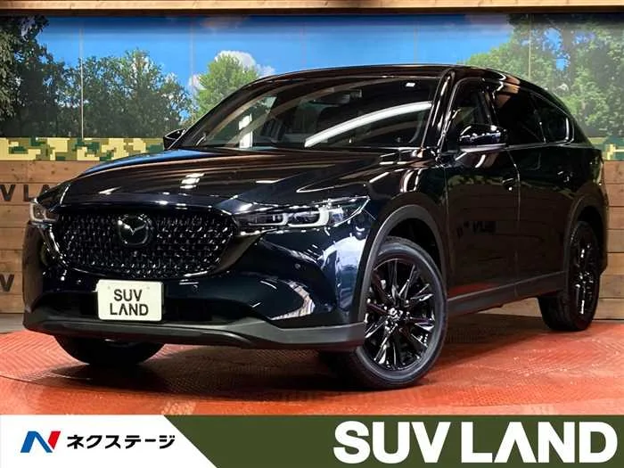 Mazda CX-8 2023 — миниатюра 4