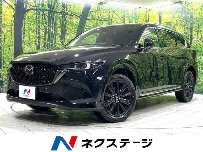 Mazda CX-8 2023 — миниатюра 4