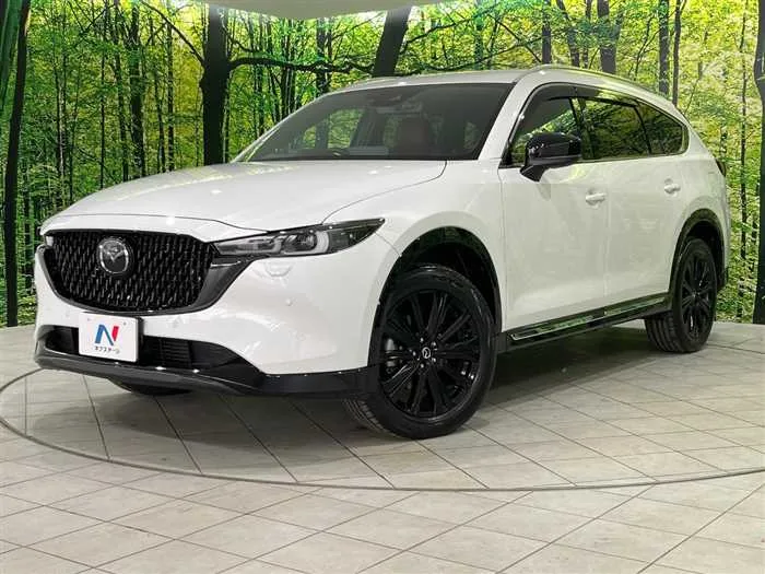 Mazda CX-8 2023 — фото 1, купить с доставкой в Москву