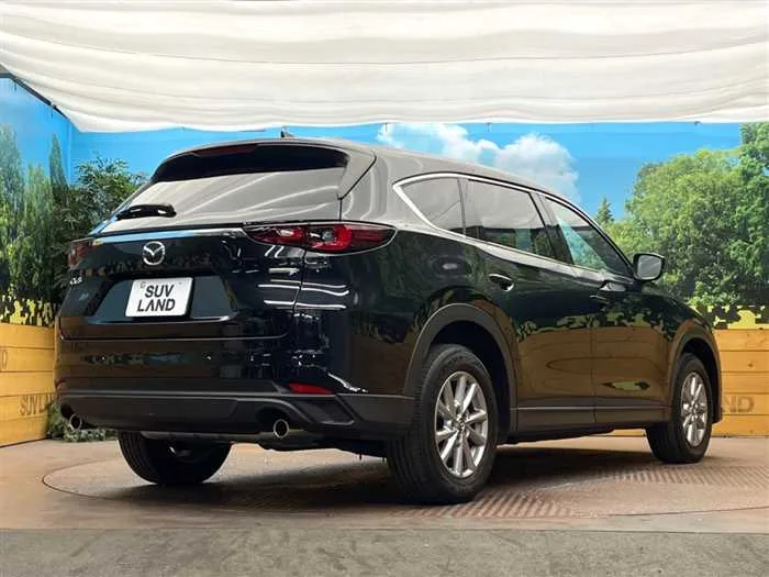 Mazda CX-8 2024 — миниатюра 3