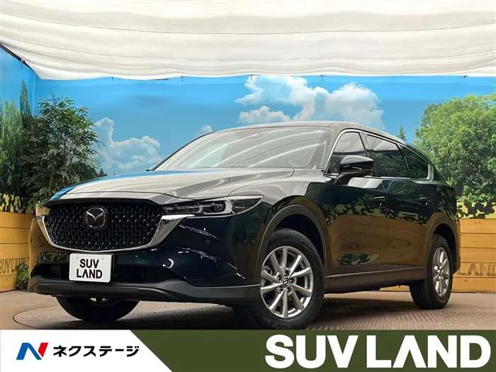 Mazda CX-8 2024 — миниатюра 4