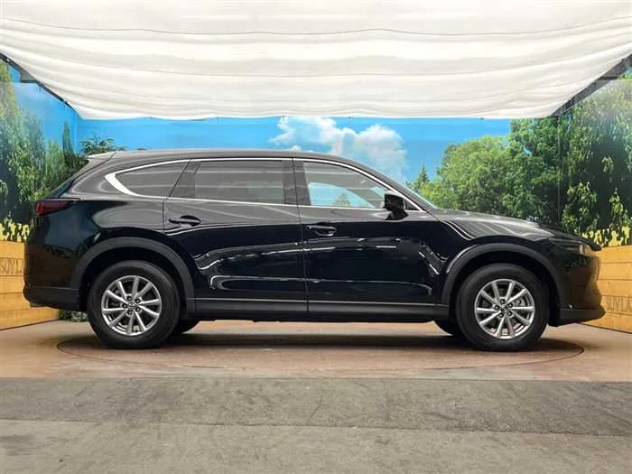 Mazda CX-8 2024 — миниатюра 5