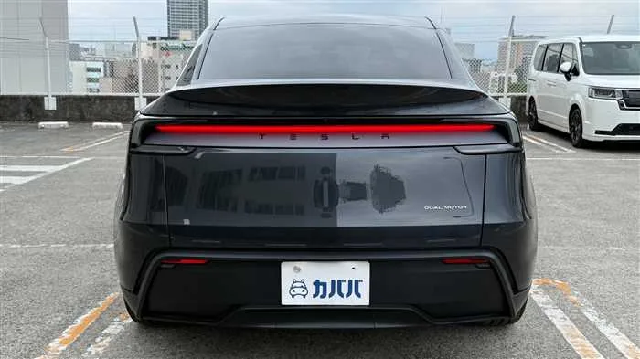 Tesla Motors Others 2025 — миниатюра 4