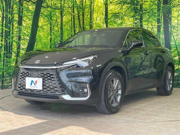 Lexus Other 2024 — миниатюра 2