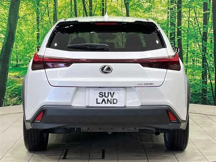 Lexus Other 2023 — миниатюра 2