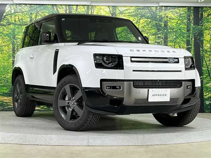 Land Rover Defender 2025 — фото 1, купить с доставкой в Москву