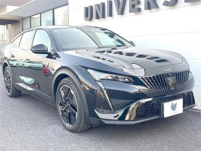 Peugeot Peugoet Others 2023 — миниатюра 5