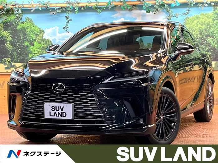 Lexus RX 2024 — миниатюра 4