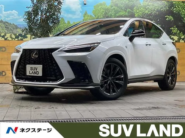 Lexus NX 2024 — миниатюра 4