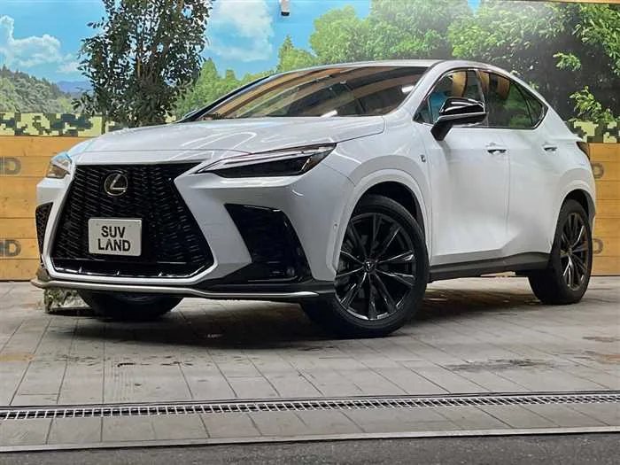 Lexus NX 2024 — фото 1, купить с доставкой в Москву
