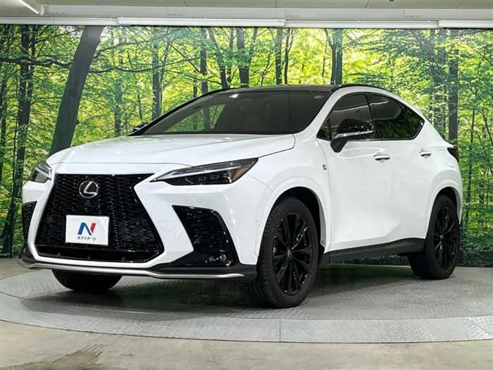 Lexus NX 2024 — миниатюра 2