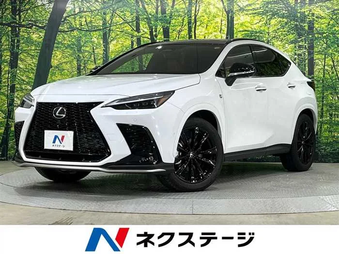 Lexus NX 2024 — миниатюра 4