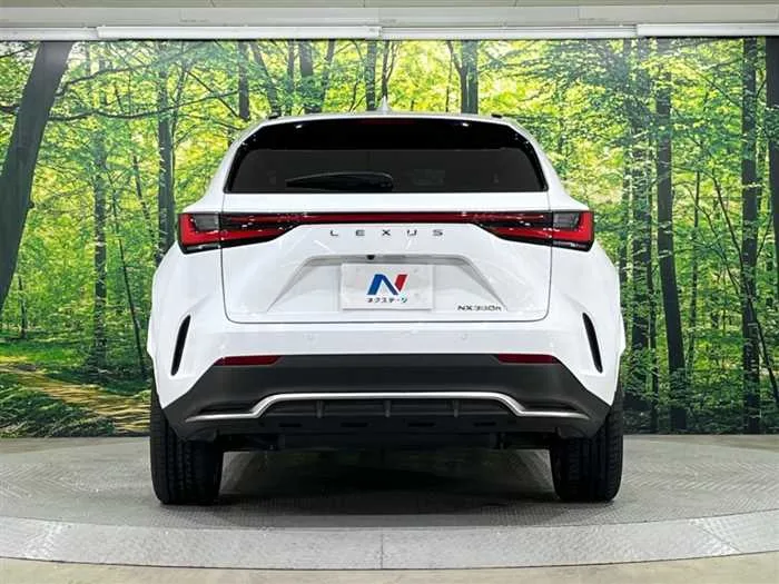 Lexus NX 2024 — миниатюра 5