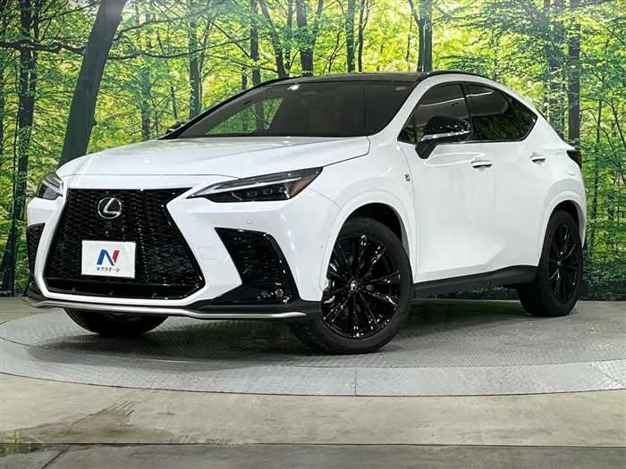 Lexus NX 2024 — фото 1, купить с доставкой в Москву