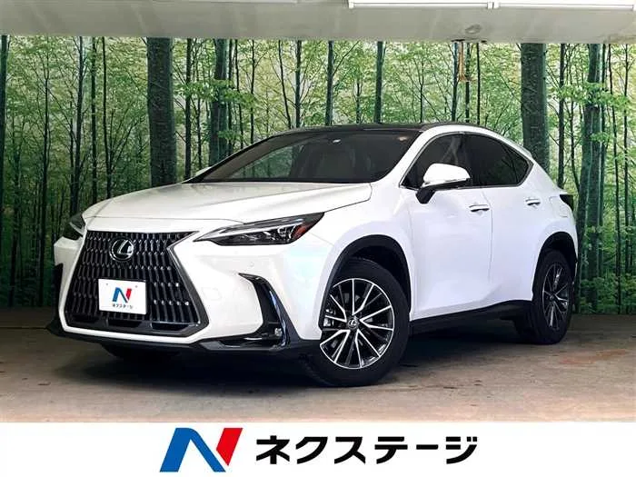 Lexus NX 2023 — миниатюра 4