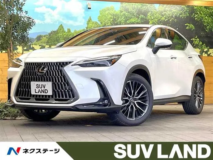 Lexus NX 2023 — миниатюра 4