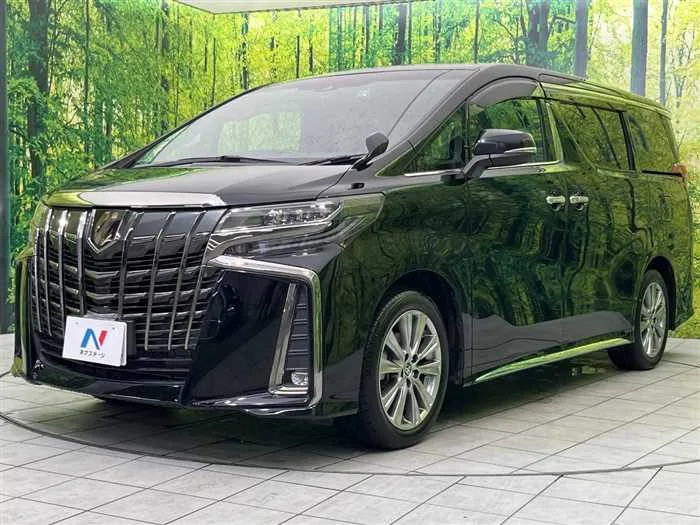 Toyota Alphard 2022 — миниатюра 2