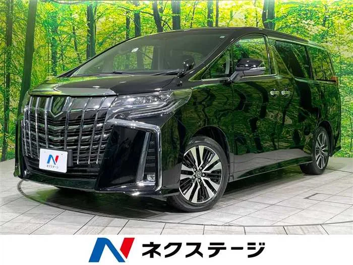 Toyota Alphard 2023 — миниатюра 4