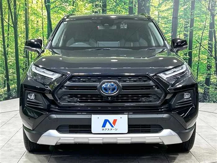Toyota RAV4 2022 — миниатюра 2