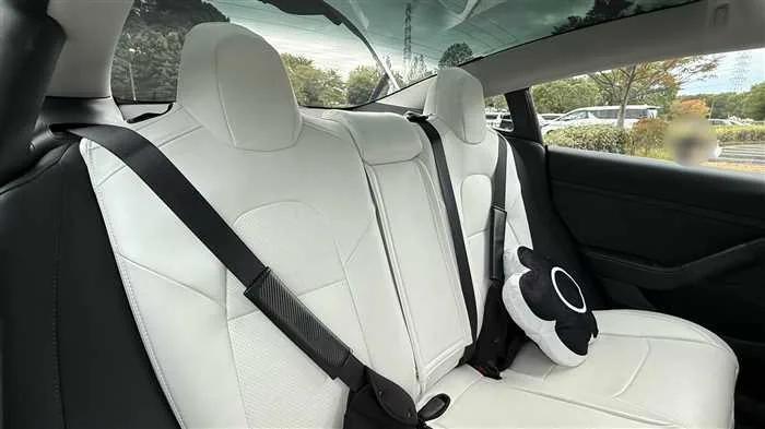 Tesla Motors Others RWD 2022 — миниатюра 3