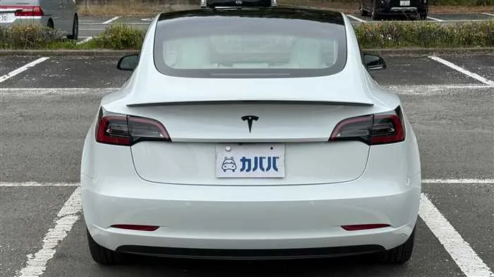 Tesla Motors Others RWD 2022 — миниатюра 4