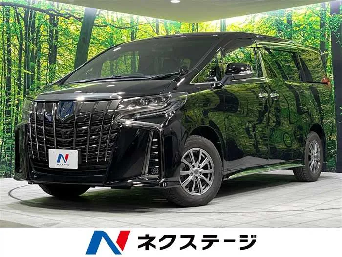 Toyota Alphard Hybrid 2022 — миниатюра 4