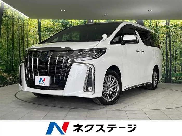 Toyota Alphard Hybrid 2022 — миниатюра 4