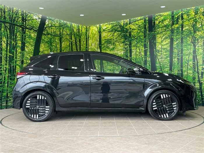 Nissan Nissan Others 2025 — миниатюра 5