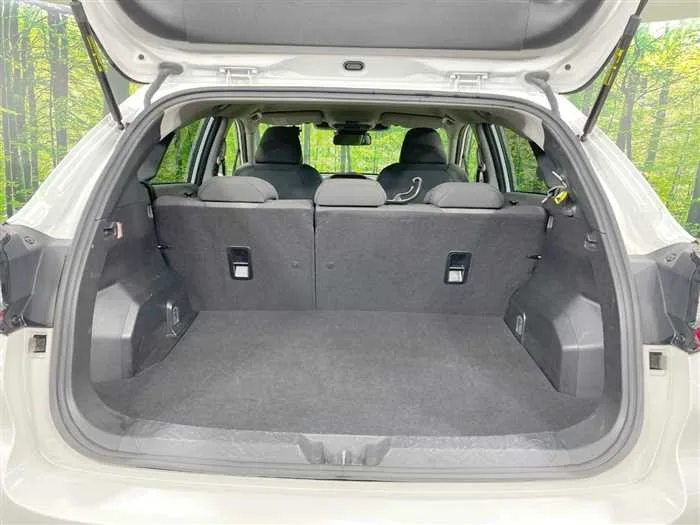 Subaru Subaru Others 2024 — миниатюра 3