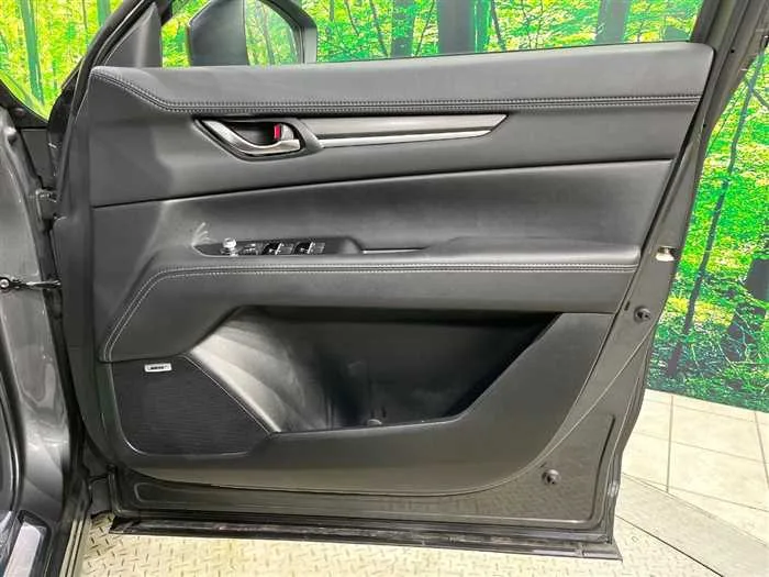 Mazda CX-8 2023 — миниатюра 2