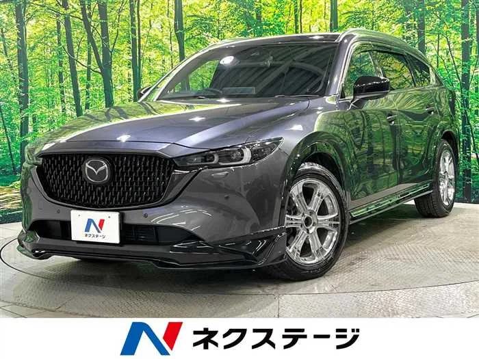 Mazda CX-8 2023 — миниатюра 4