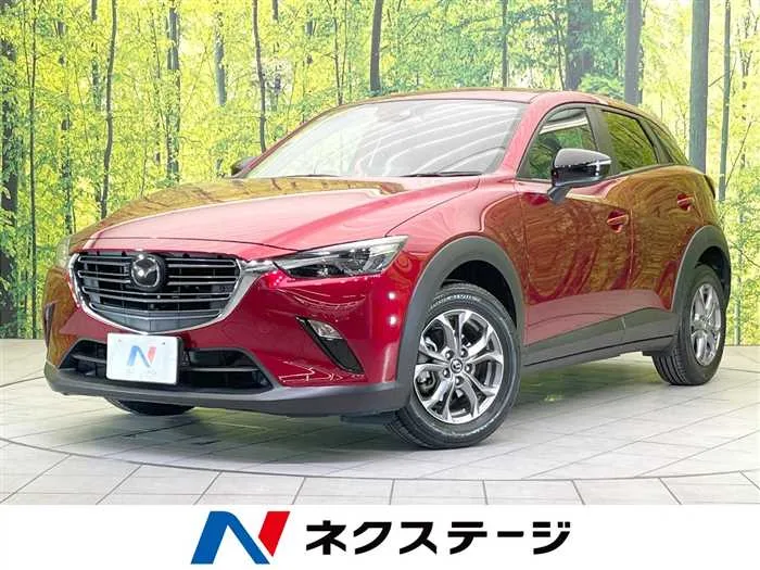 Mazda CX-3 2024 — миниатюра 4
