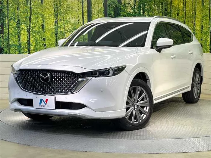 Mazda CX-8 2023 — фото 1, купить с доставкой в Москву