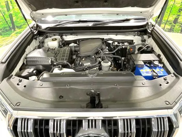 Toyota Land Cruiser Prado 2022 — миниатюра 2